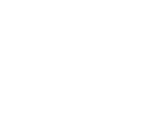 SaaStr Logo Vert - White
