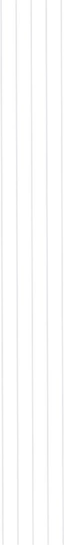 saas-value-vertical-lines saas-value-vertical-lines